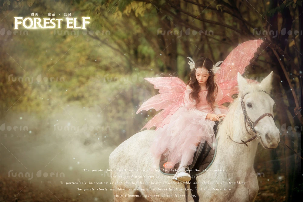 全家福 芳妮豆丁