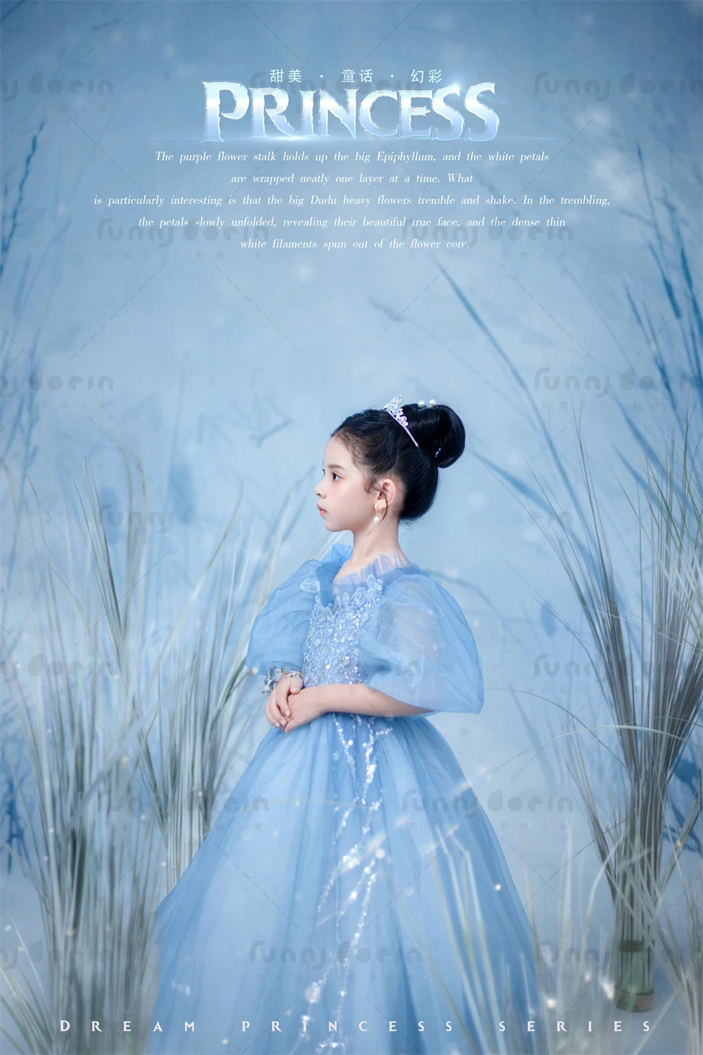 芳妮豆丁儿童摄影 艾莎公主