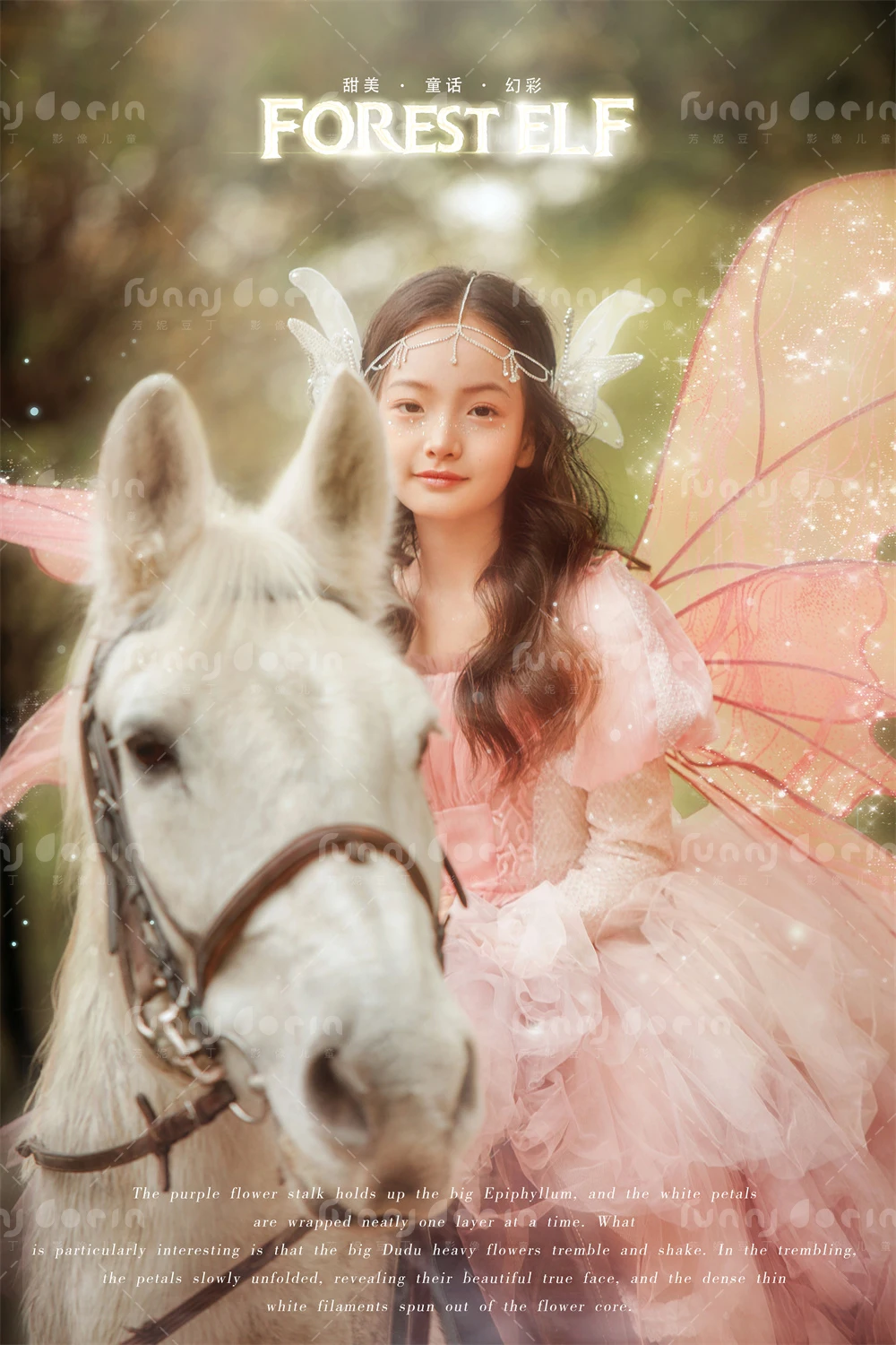 全家福 芳妮豆丁