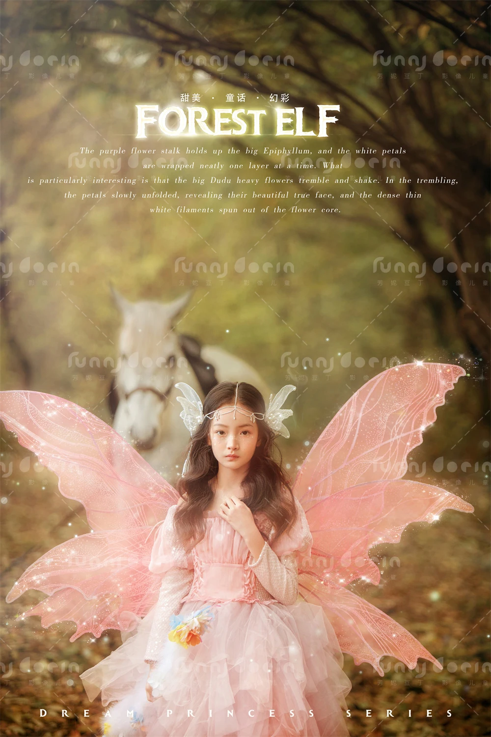 全家福 芳妮豆丁