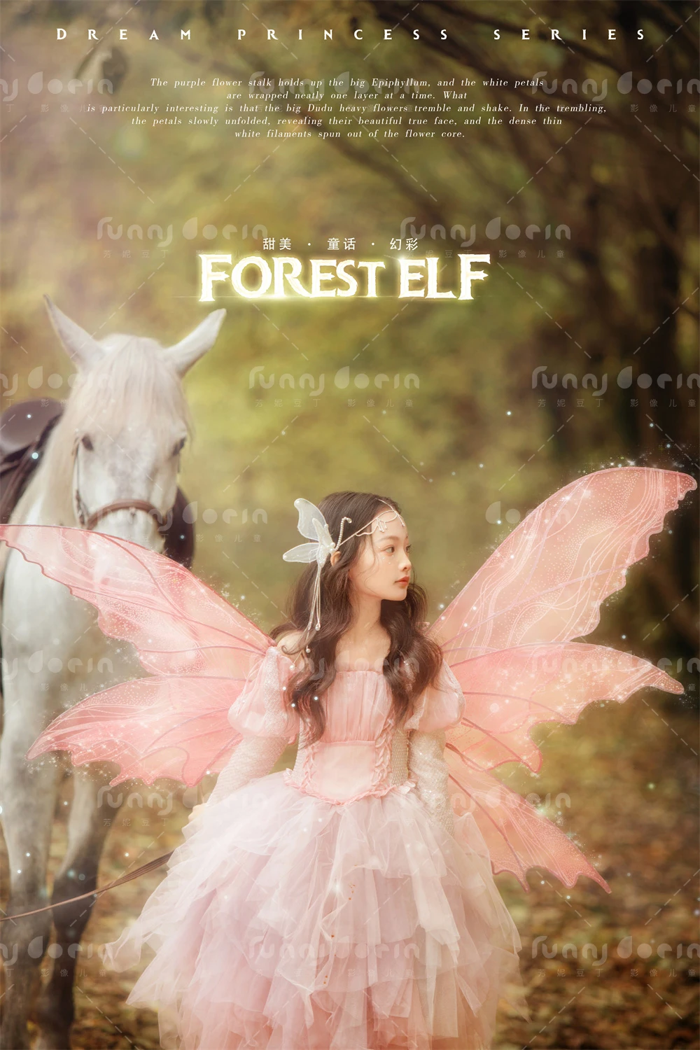 全家福 芳妮豆丁