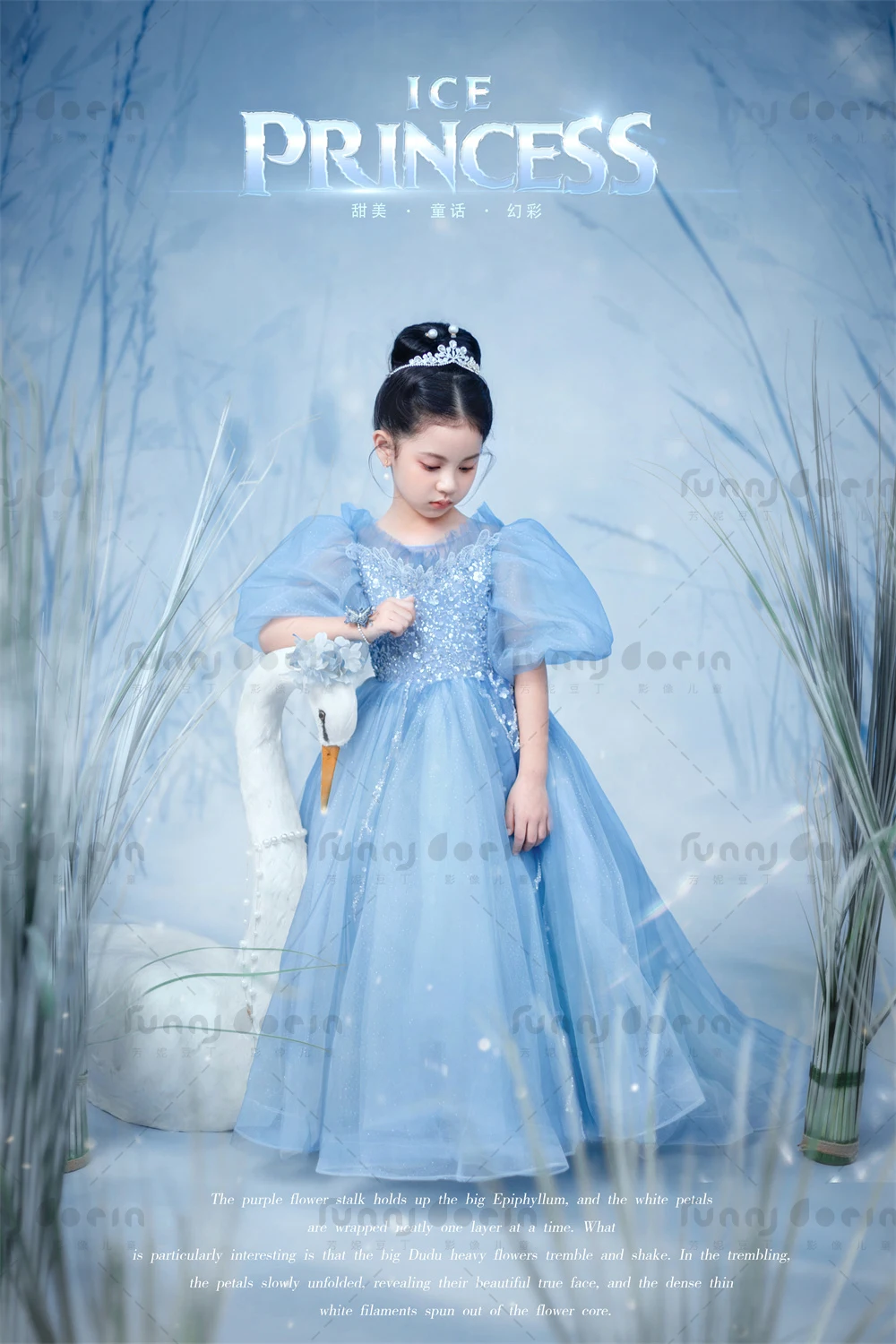 芳妮豆丁儿童摄影 艾莎公主
