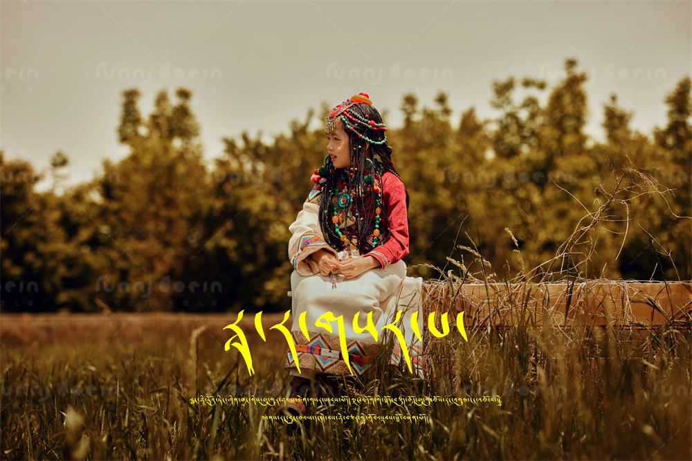 全家福 芳妮豆丁