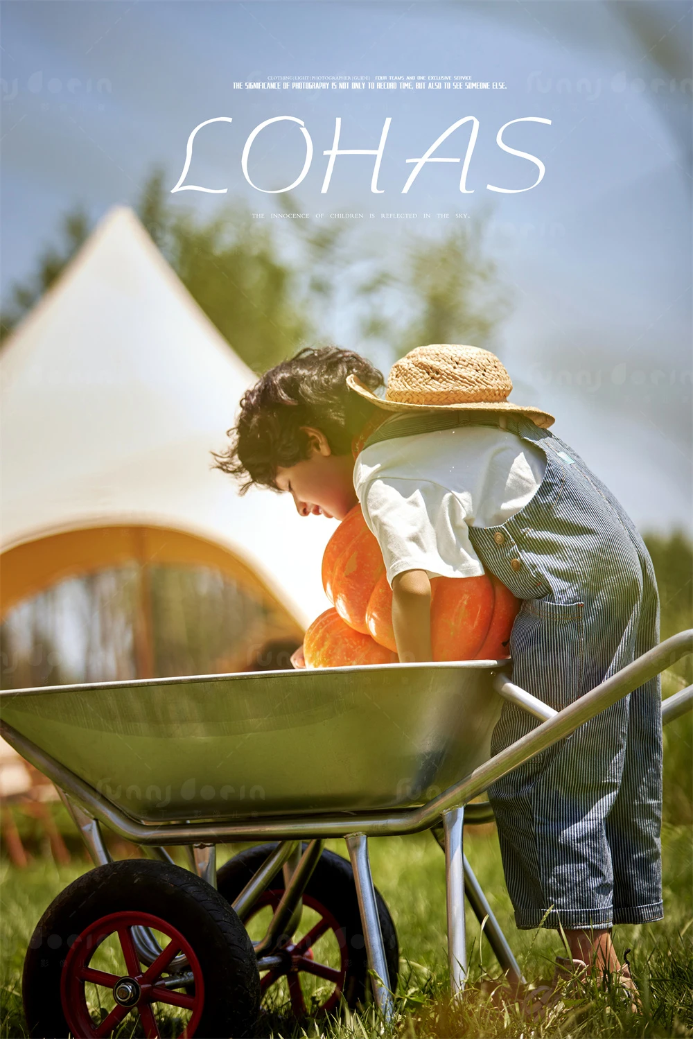 芳妮豆丁儿童摄影 南瓜庄园