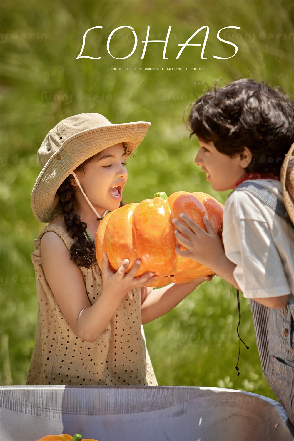 芳妮豆丁儿童摄影 南瓜庄园