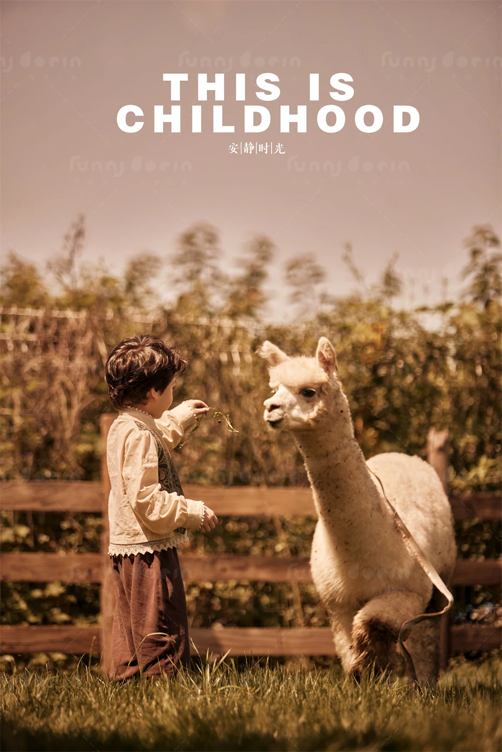 芳妮豆丁儿童摄影 萌宠乐园