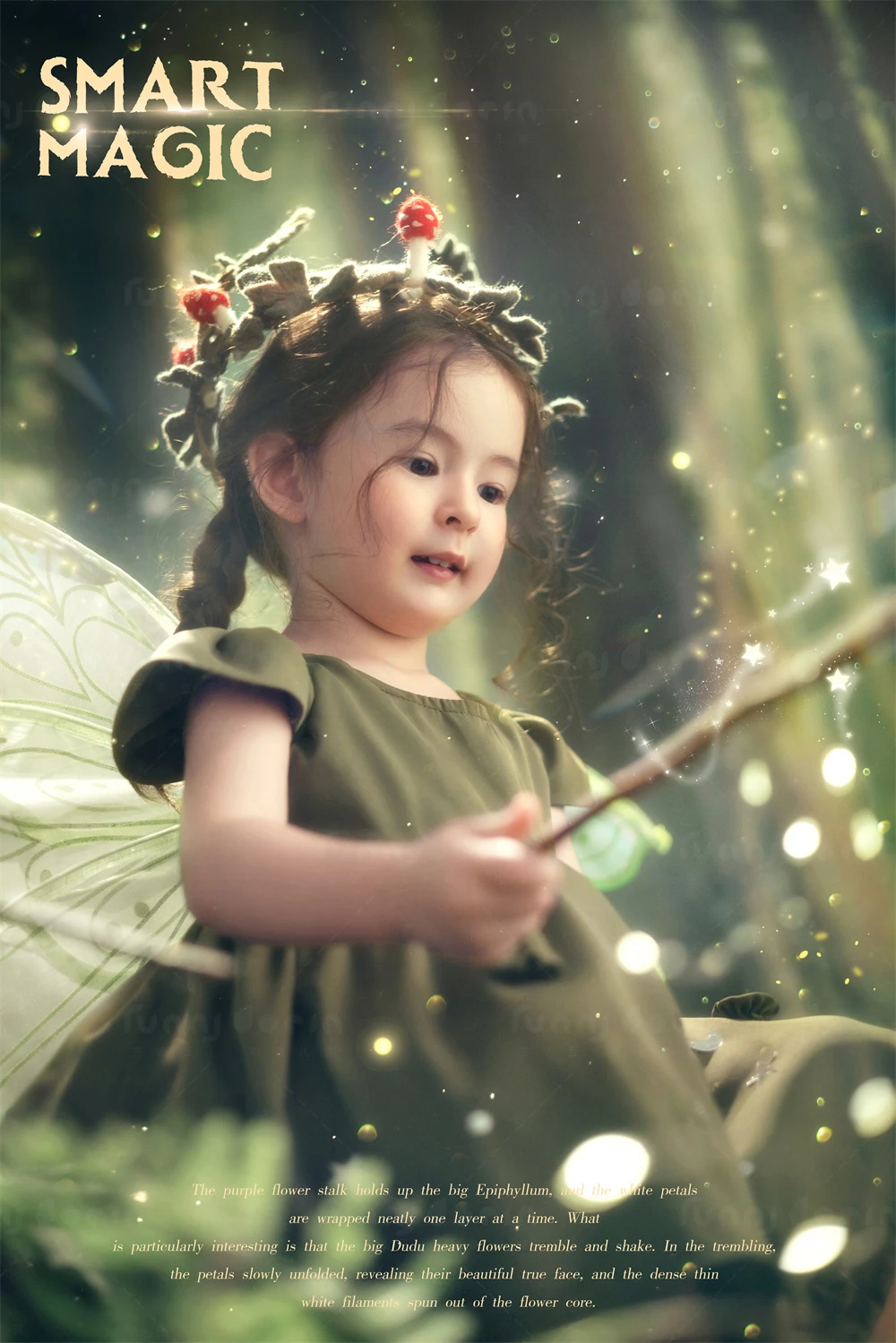 芳妮豆丁儿童摄影 绿野仙踪