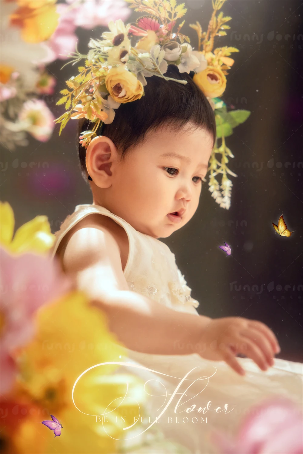 全家福 芳妮豆丁