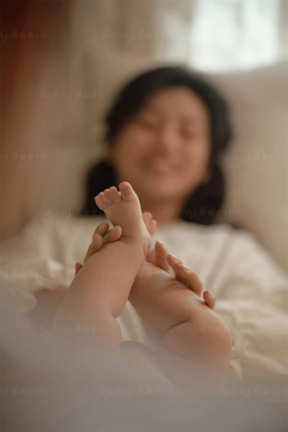 全家福 芳妮豆丁