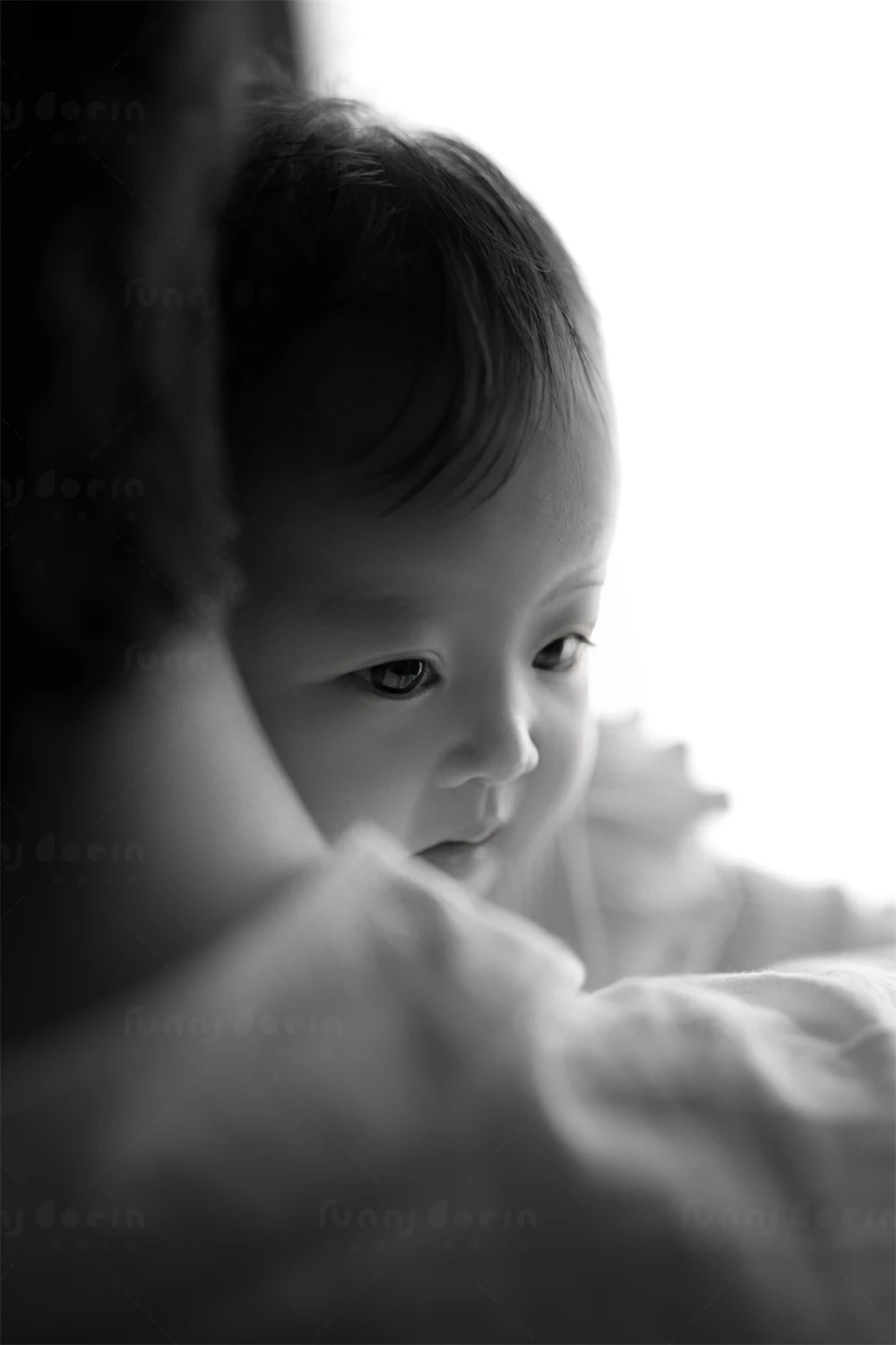 全家福 芳妮豆丁