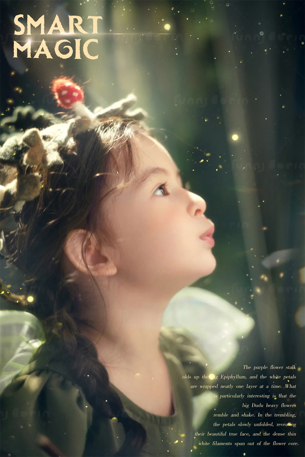 芳妮豆丁儿童摄影 绿野仙踪