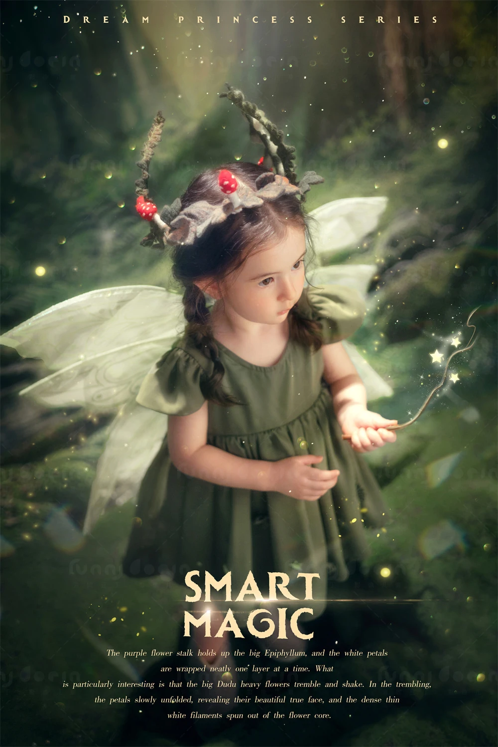 芳妮豆丁儿童摄影 绿野仙踪