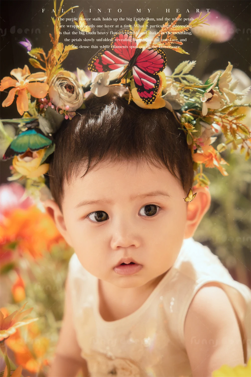 全家福 芳妮豆丁