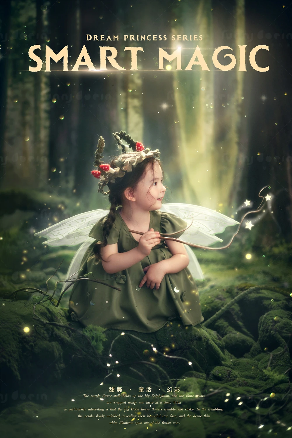 芳妮豆丁儿童摄影 绿野仙踪