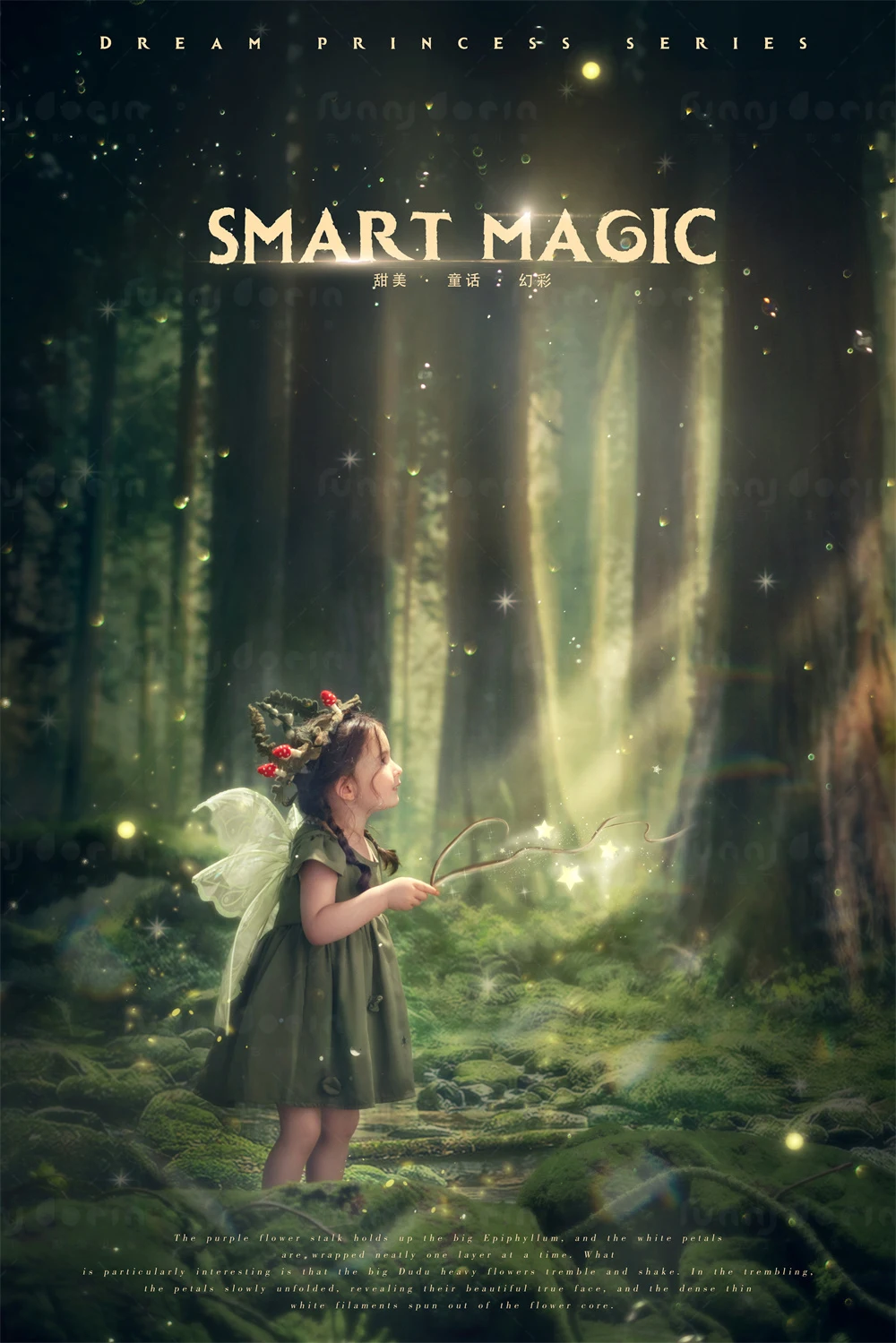 芳妮豆丁儿童摄影 绿野仙踪