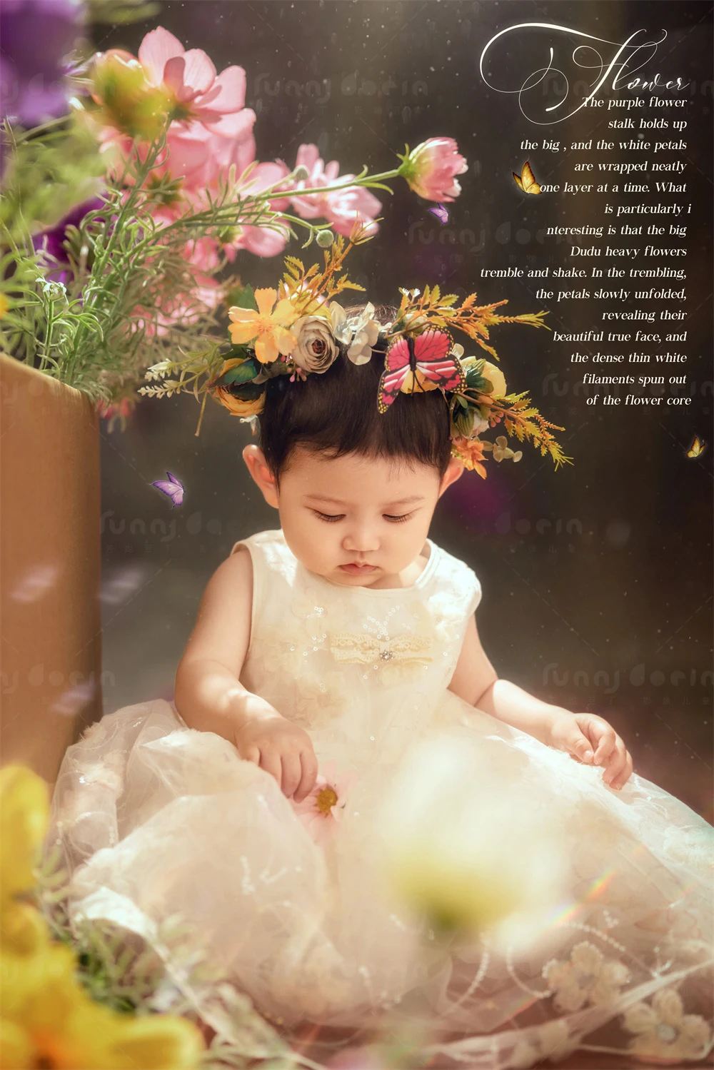 全家福 芳妮豆丁