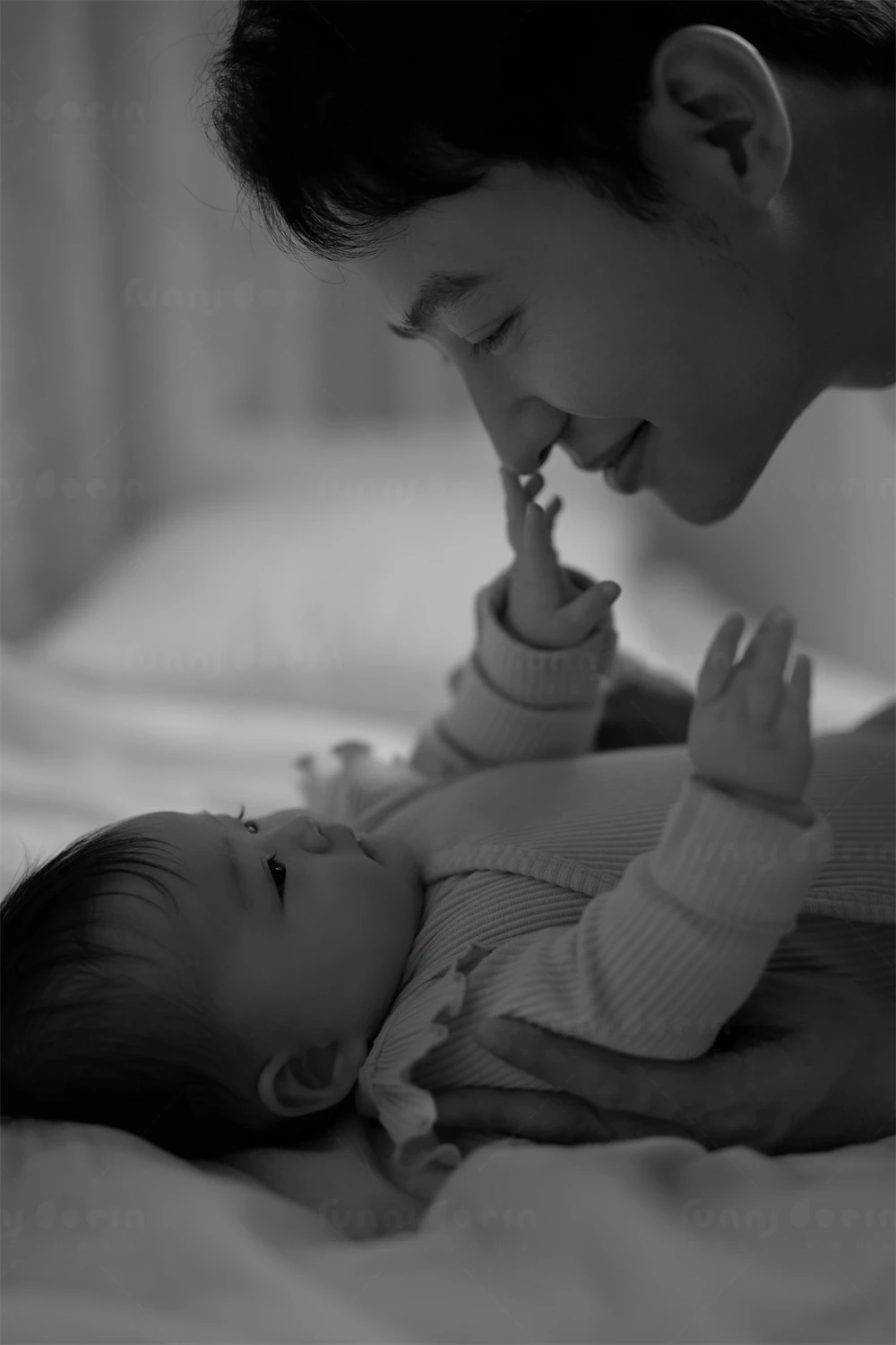 全家福 芳妮豆丁