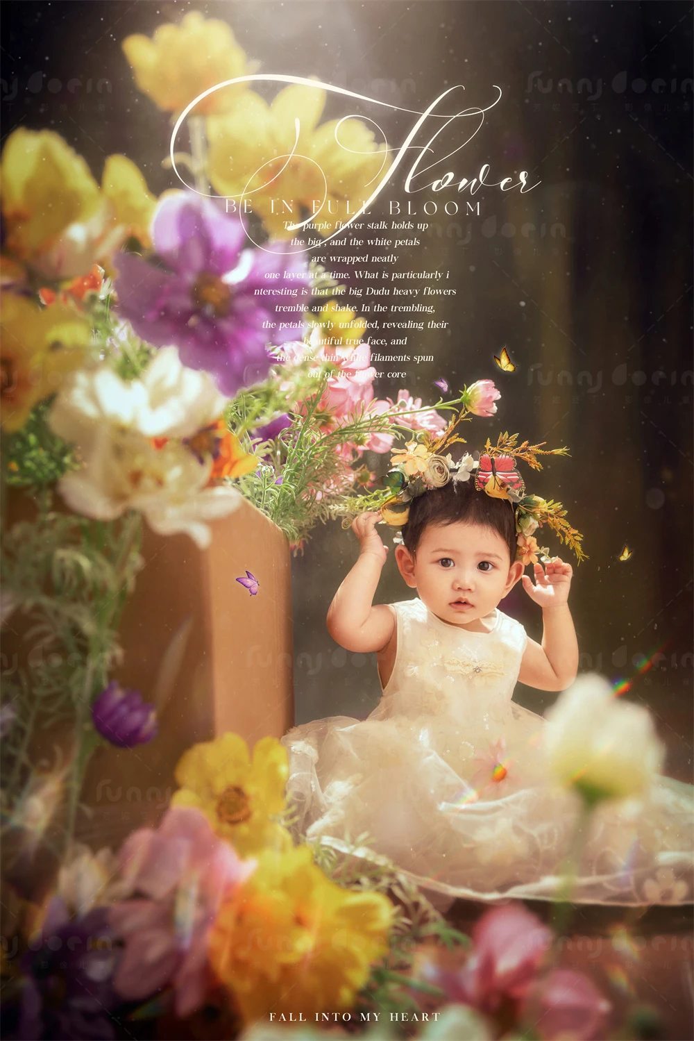 全家福 芳妮豆丁