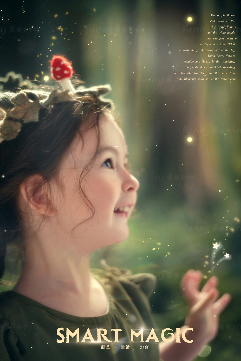 芳妮豆丁儿童摄影 绿野仙踪