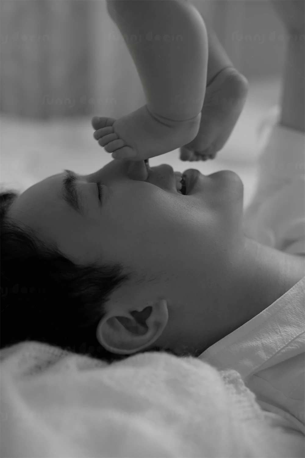 全家福 芳妮豆丁