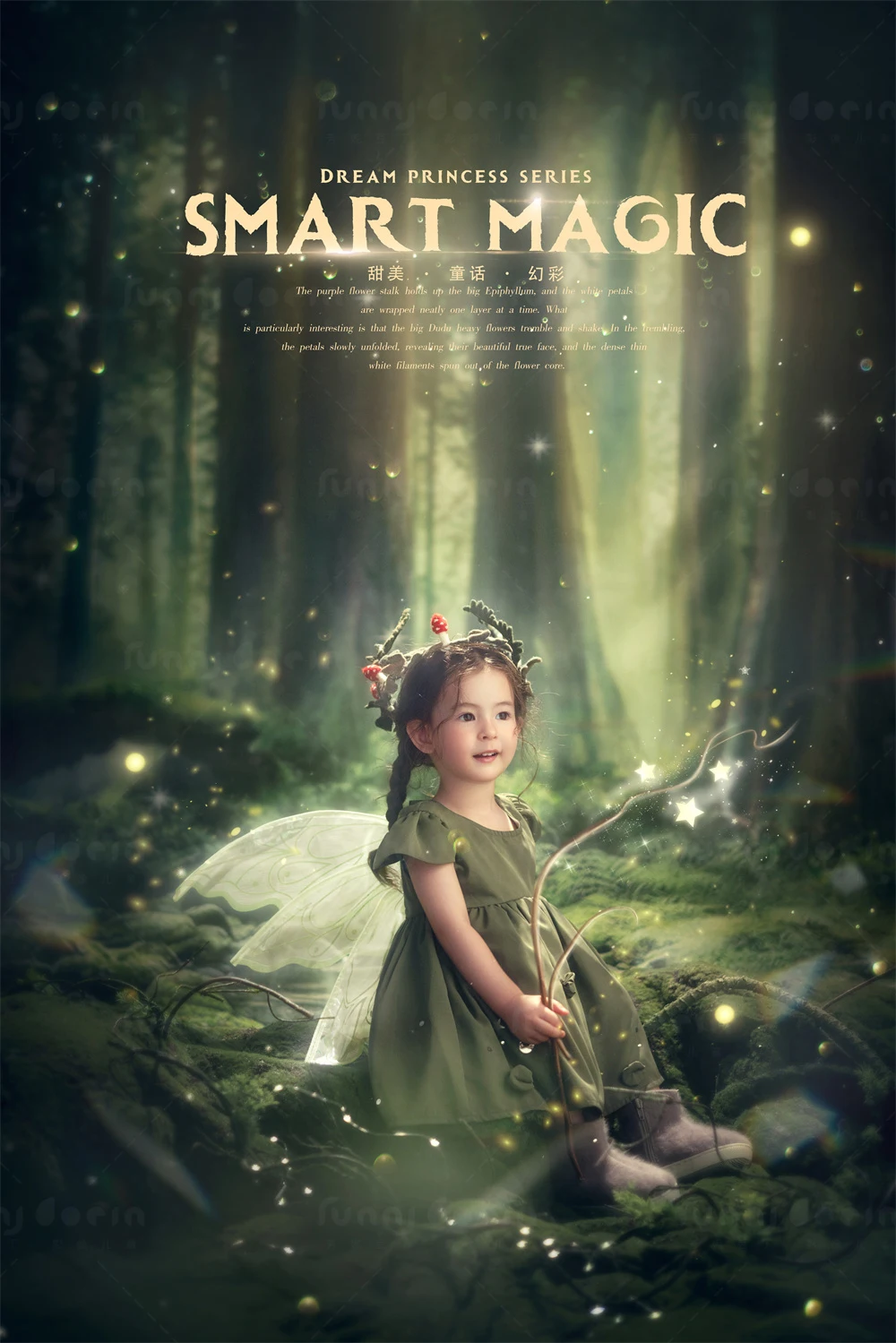 芳妮豆丁儿童摄影 绿野仙踪