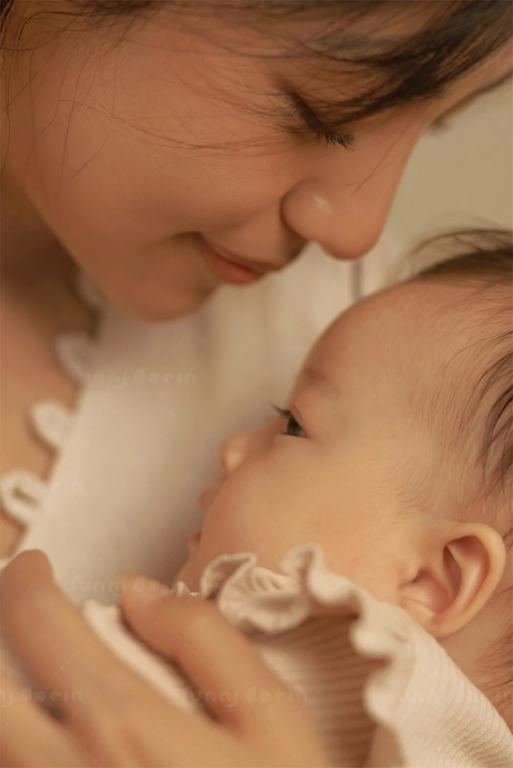 全家福 芳妮豆丁