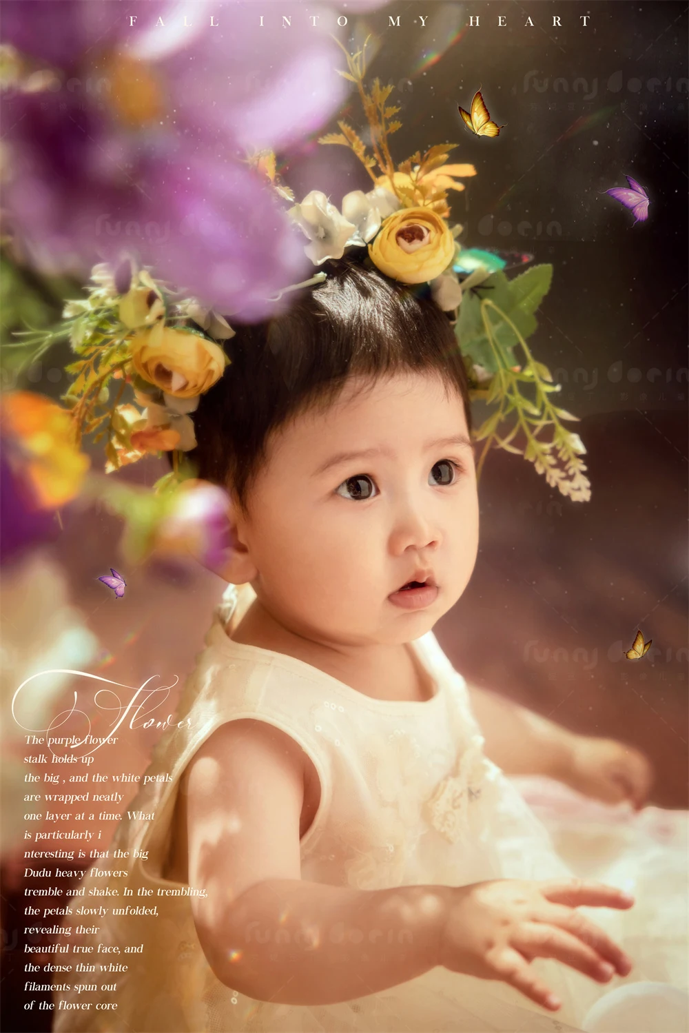 全家福 芳妮豆丁