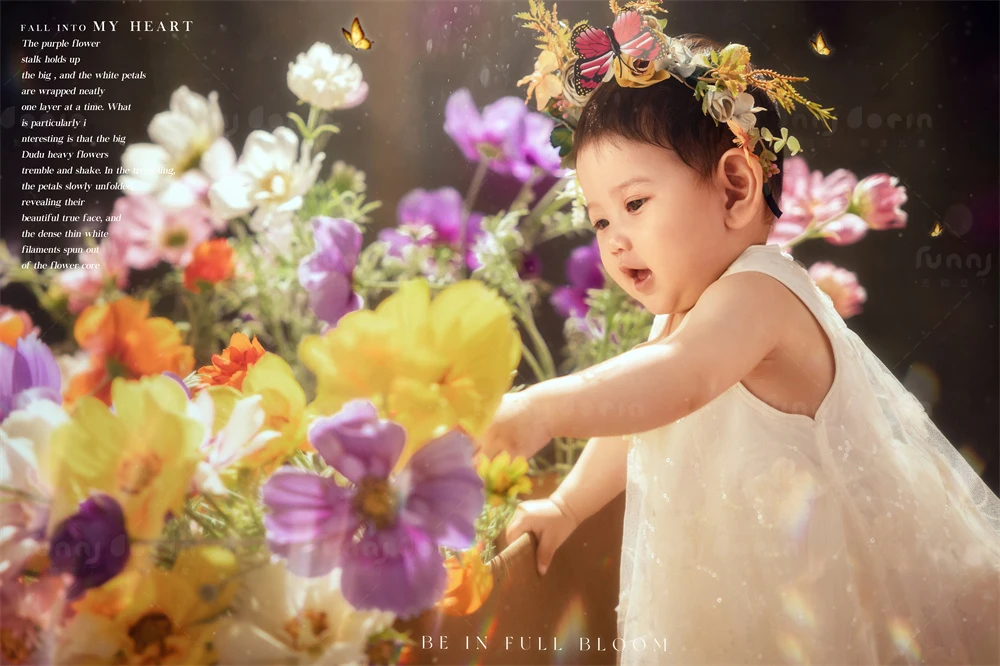 全家福 芳妮豆丁