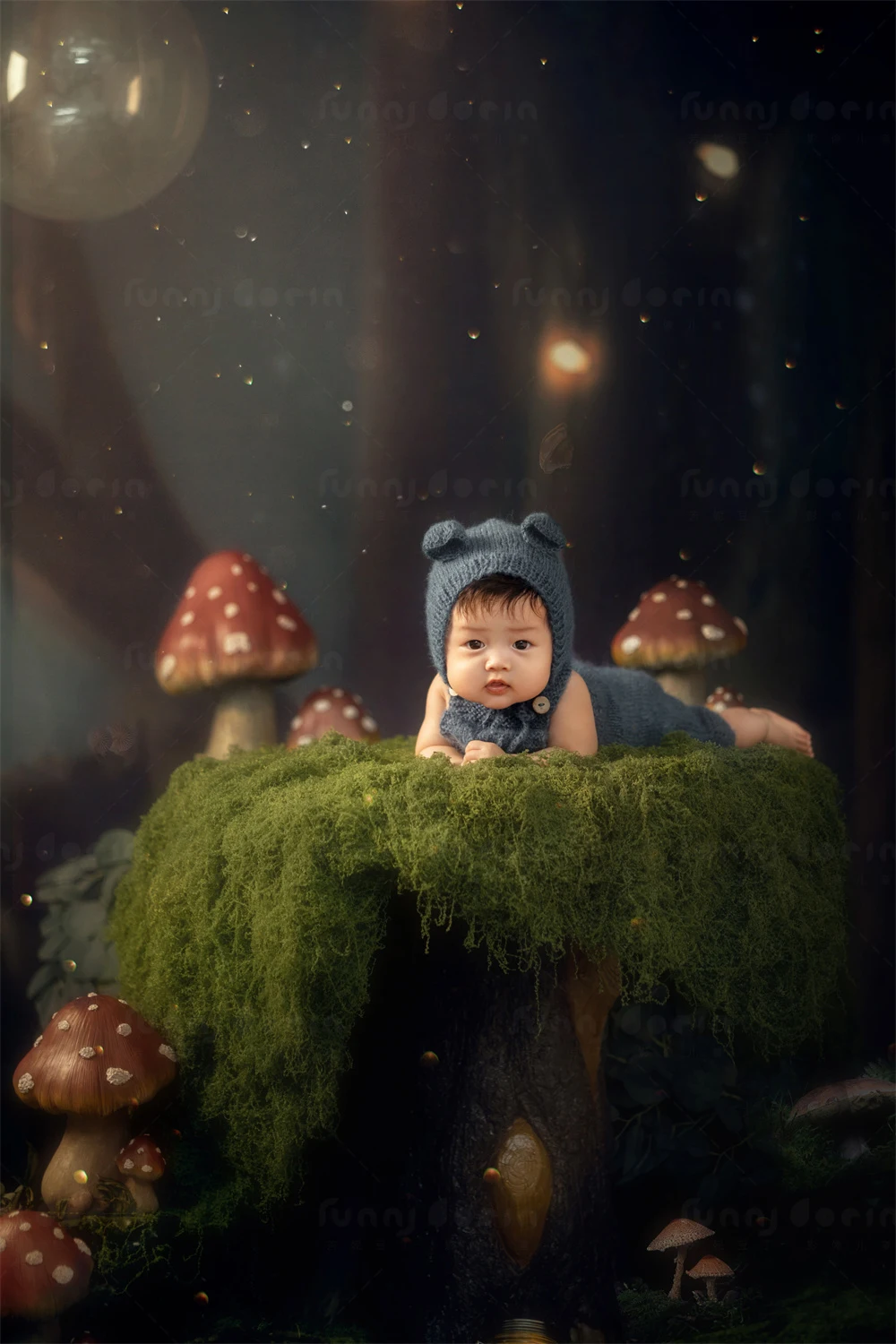 全家福 芳妮豆丁