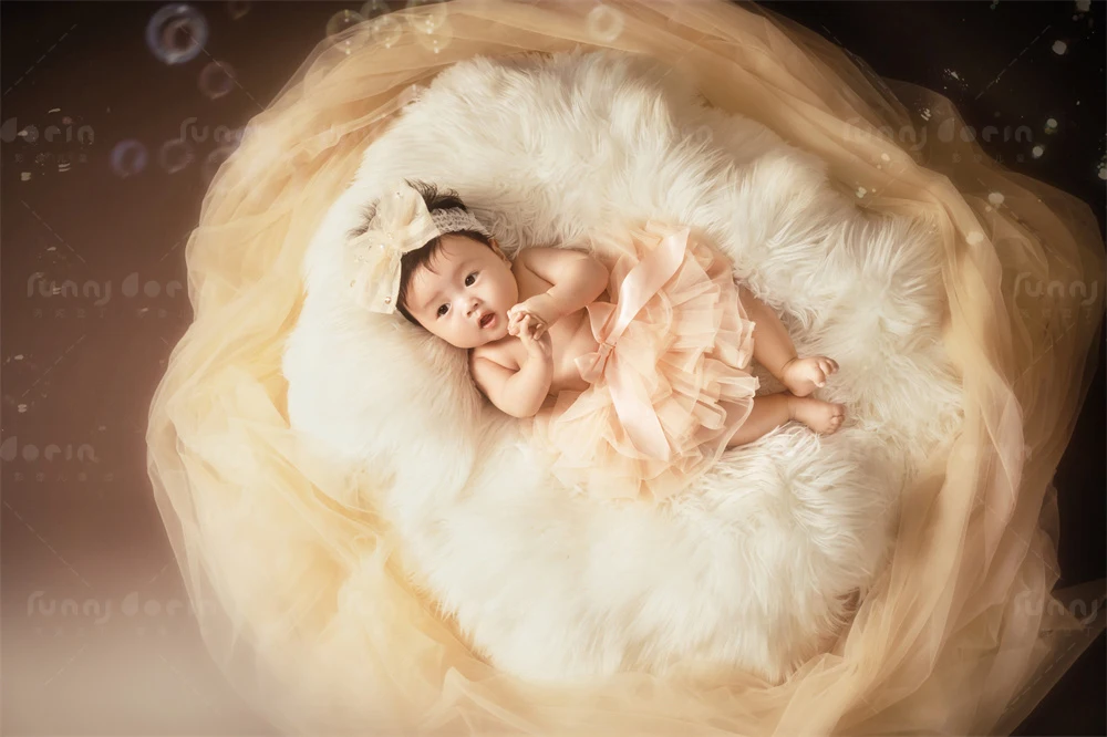 全家福 芳妮豆丁