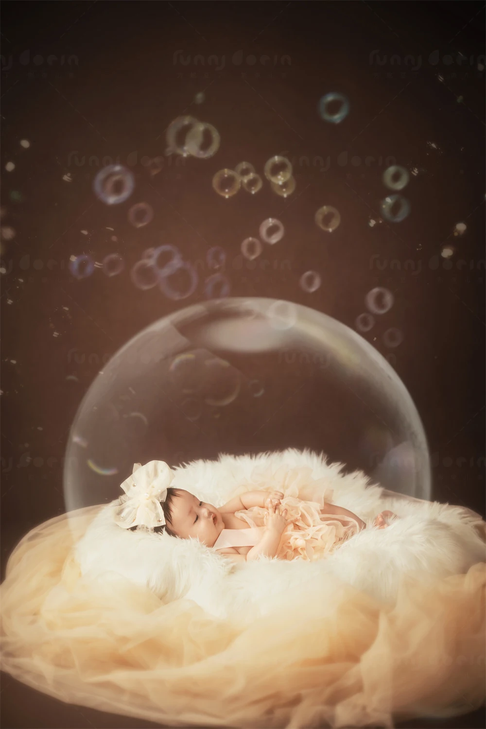 全家福 芳妮豆丁