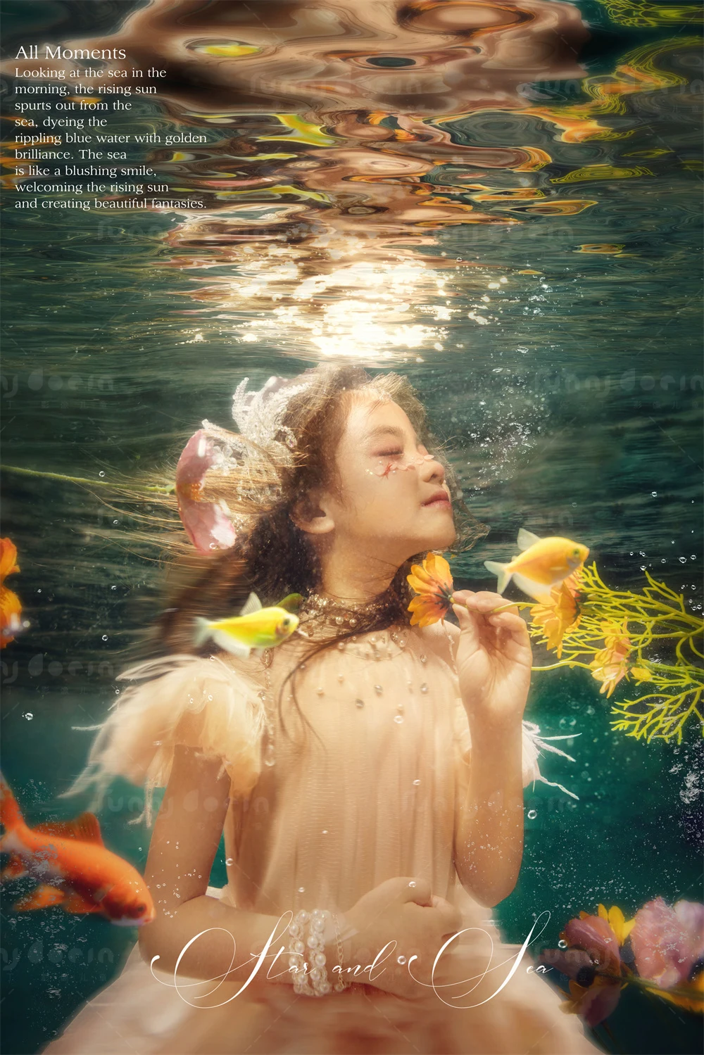 全家福 芳妮豆丁