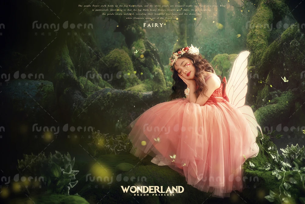 全家福 芳妮豆丁