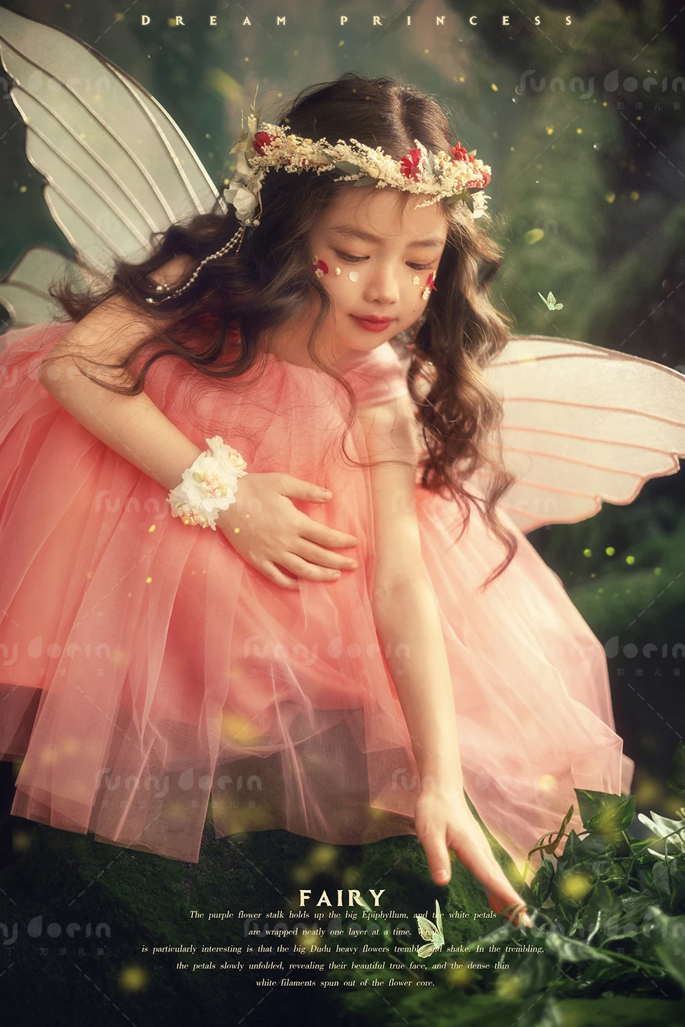 全家福 芳妮豆丁