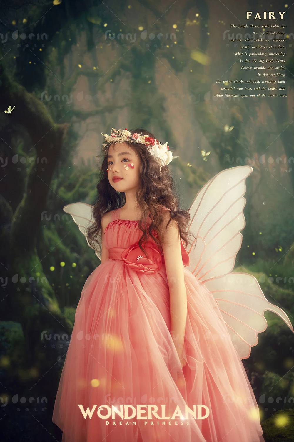 全家福 芳妮豆丁