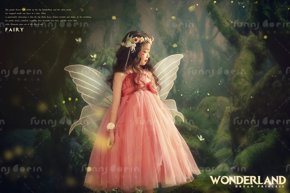 全家福 芳妮豆丁