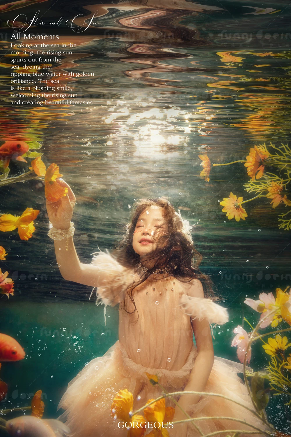 全家福 芳妮豆丁