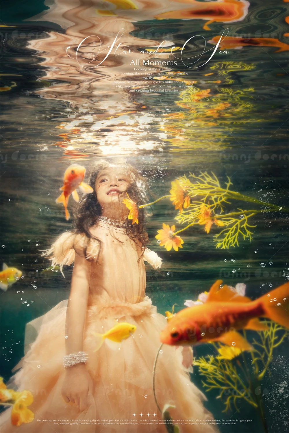 全家福 芳妮豆丁