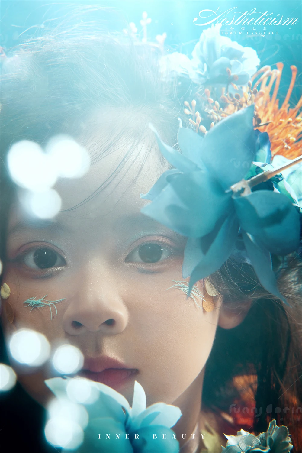 全家福 芳妮豆丁