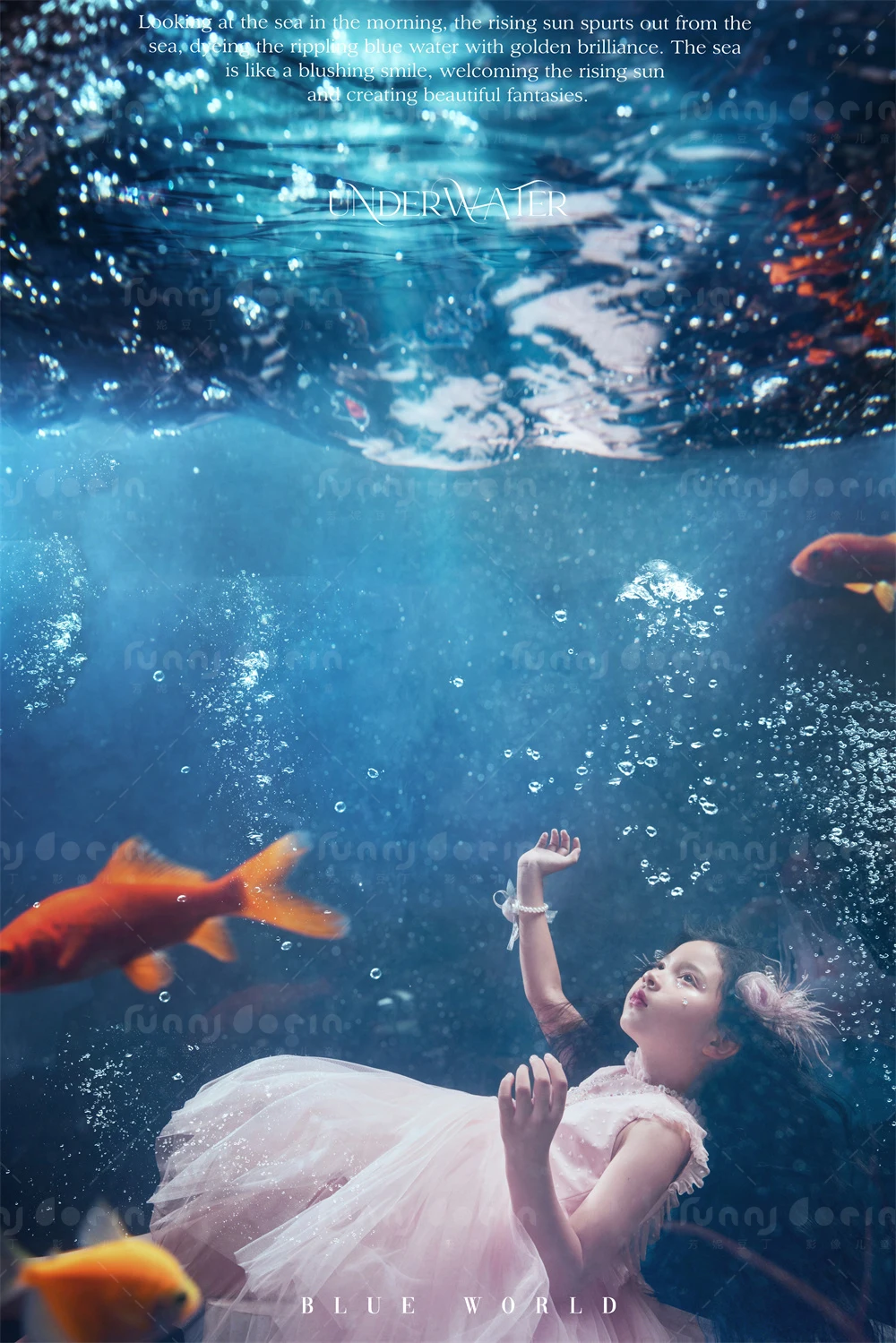 全家福 芳妮豆丁