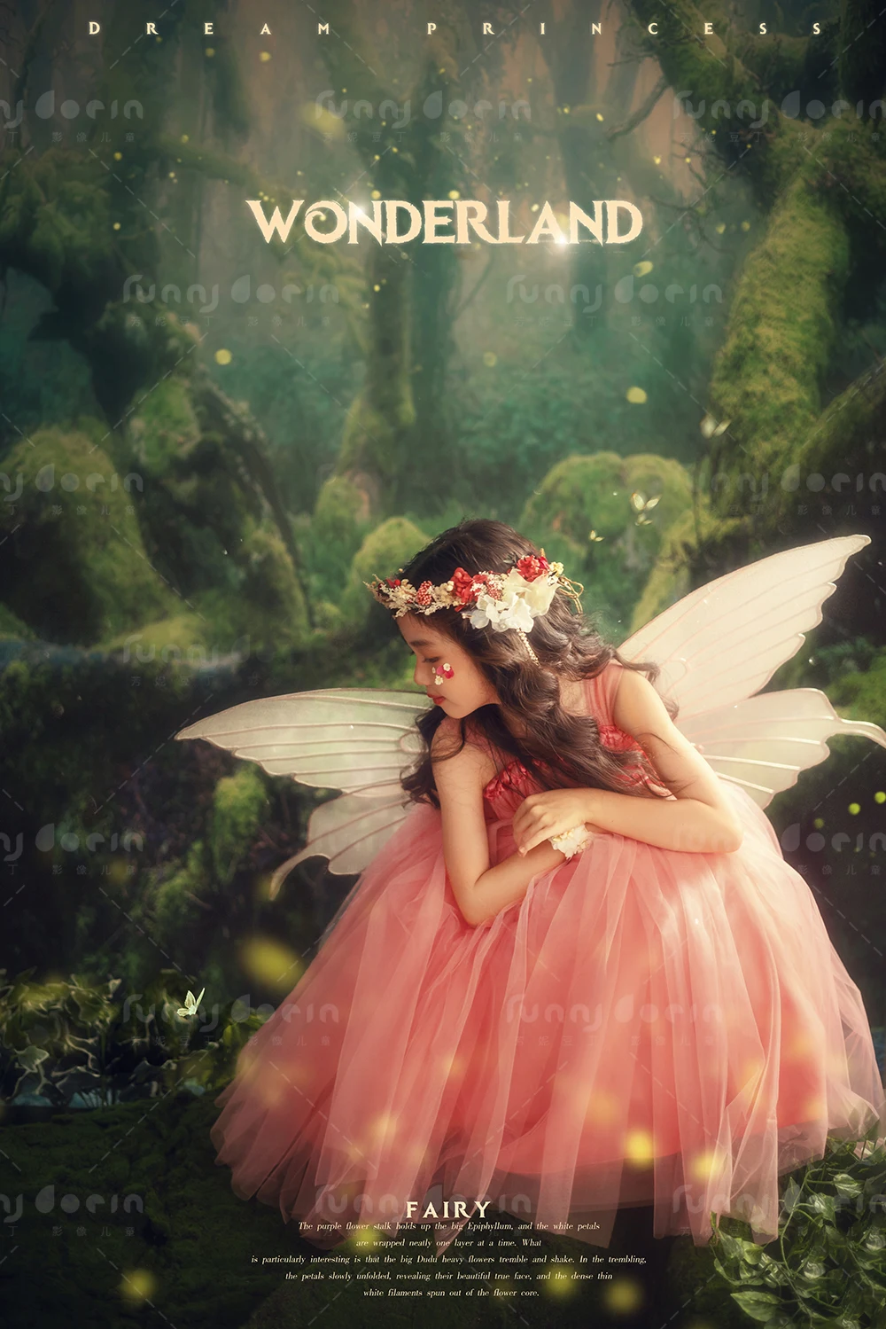 全家福 芳妮豆丁