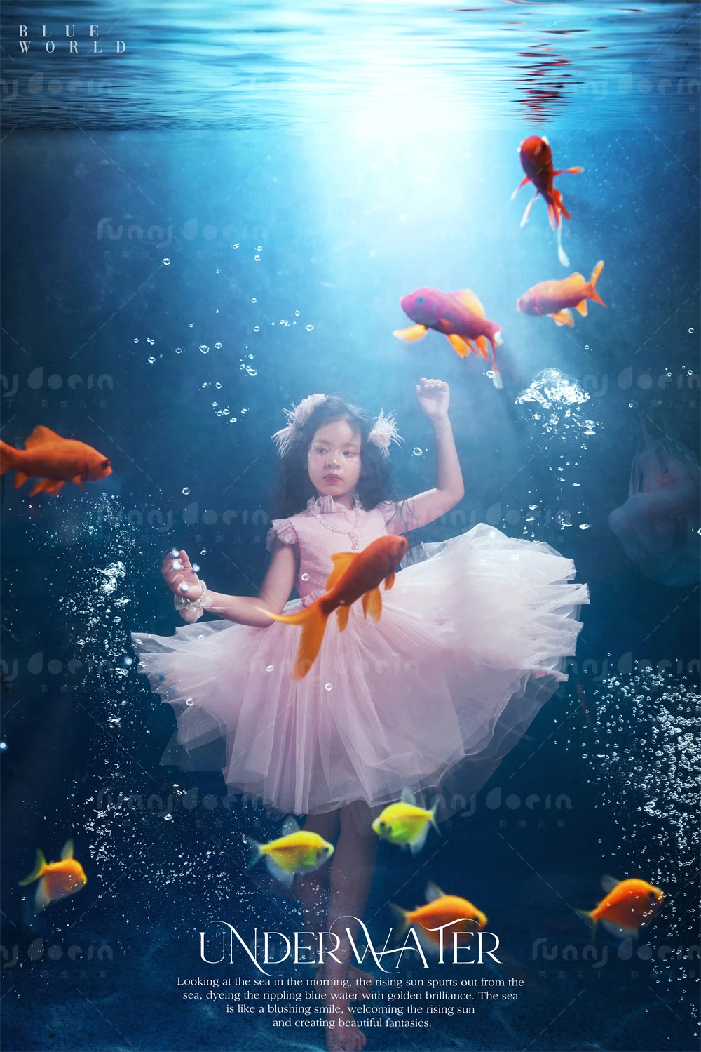 全家福 芳妮豆丁