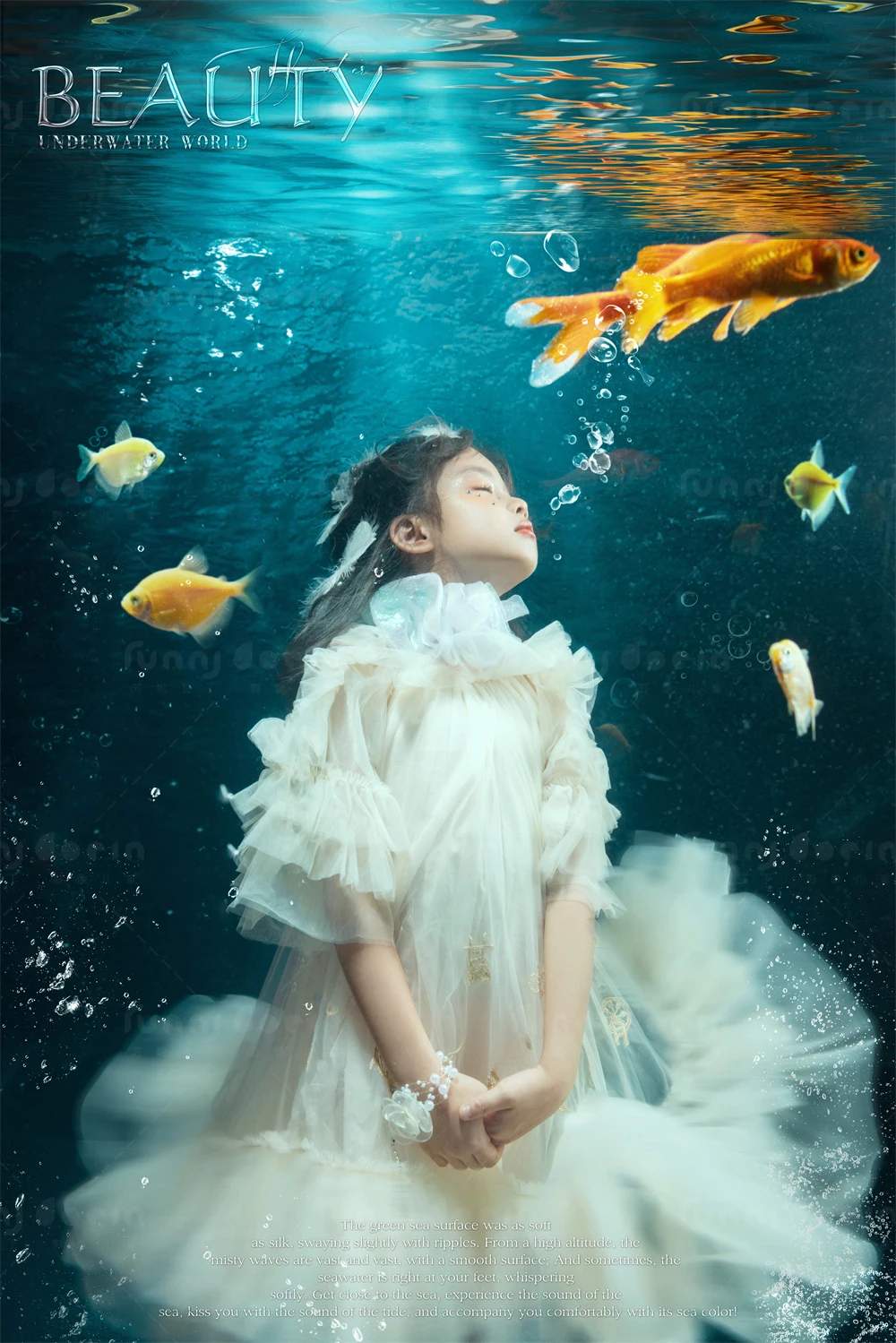 全家福 芳妮豆丁