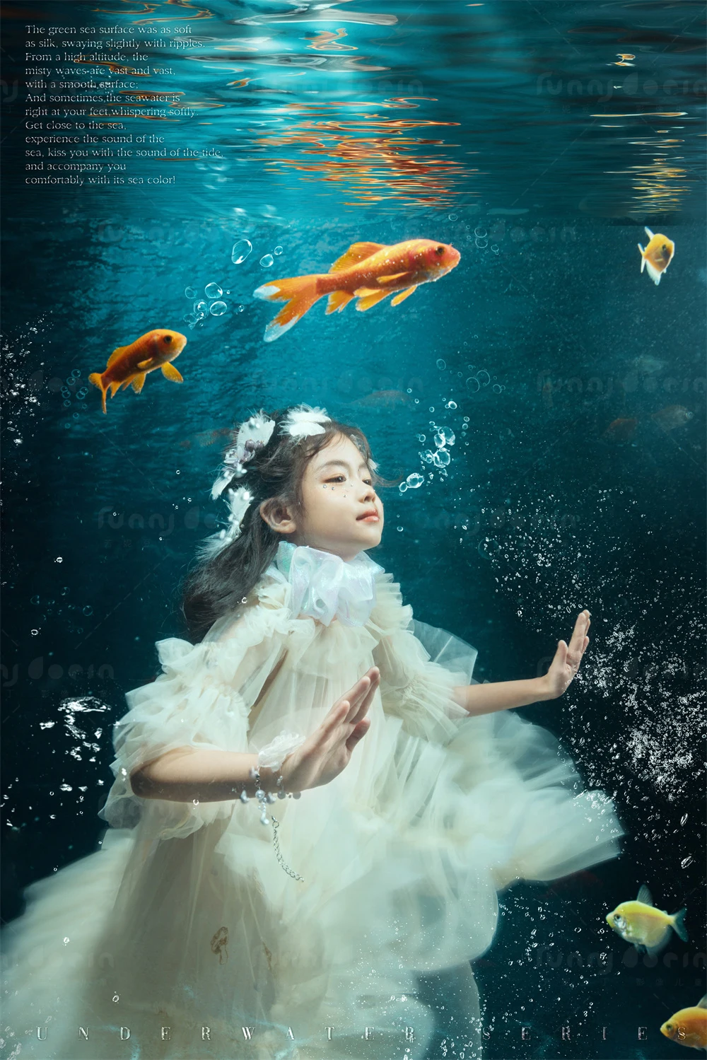 全家福 芳妮豆丁