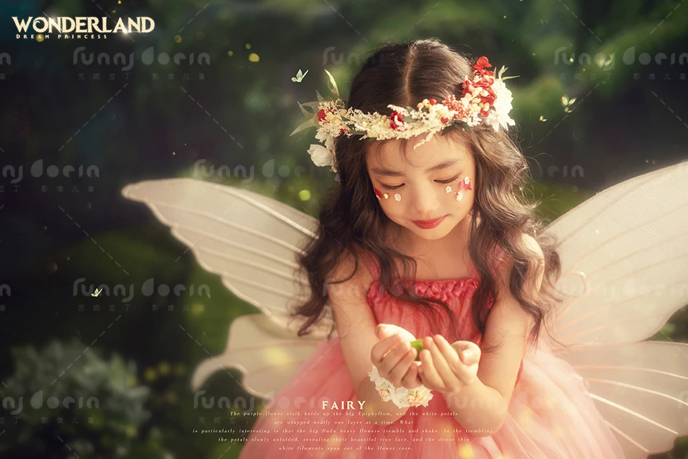 全家福 芳妮豆丁