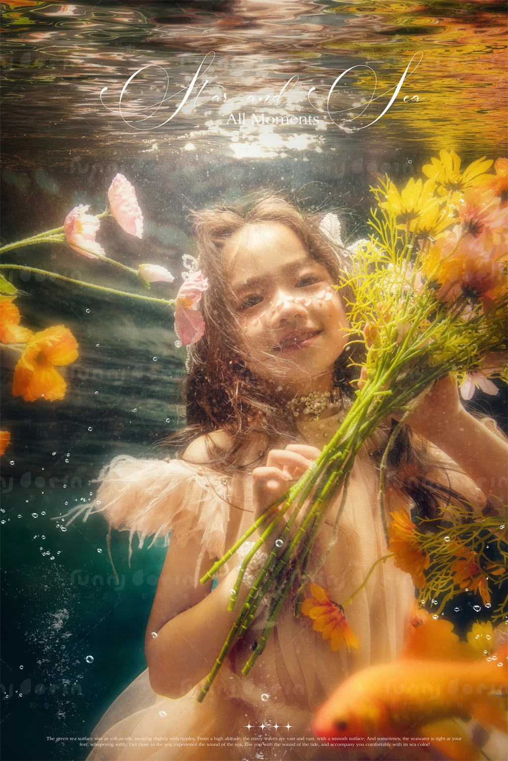 全家福 芳妮豆丁