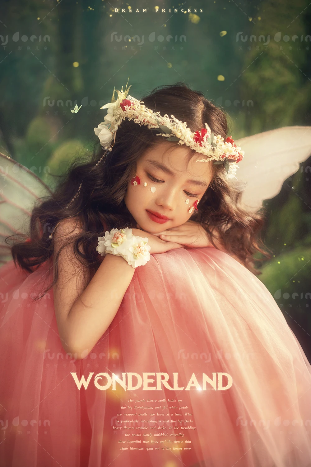 全家福 芳妮豆丁