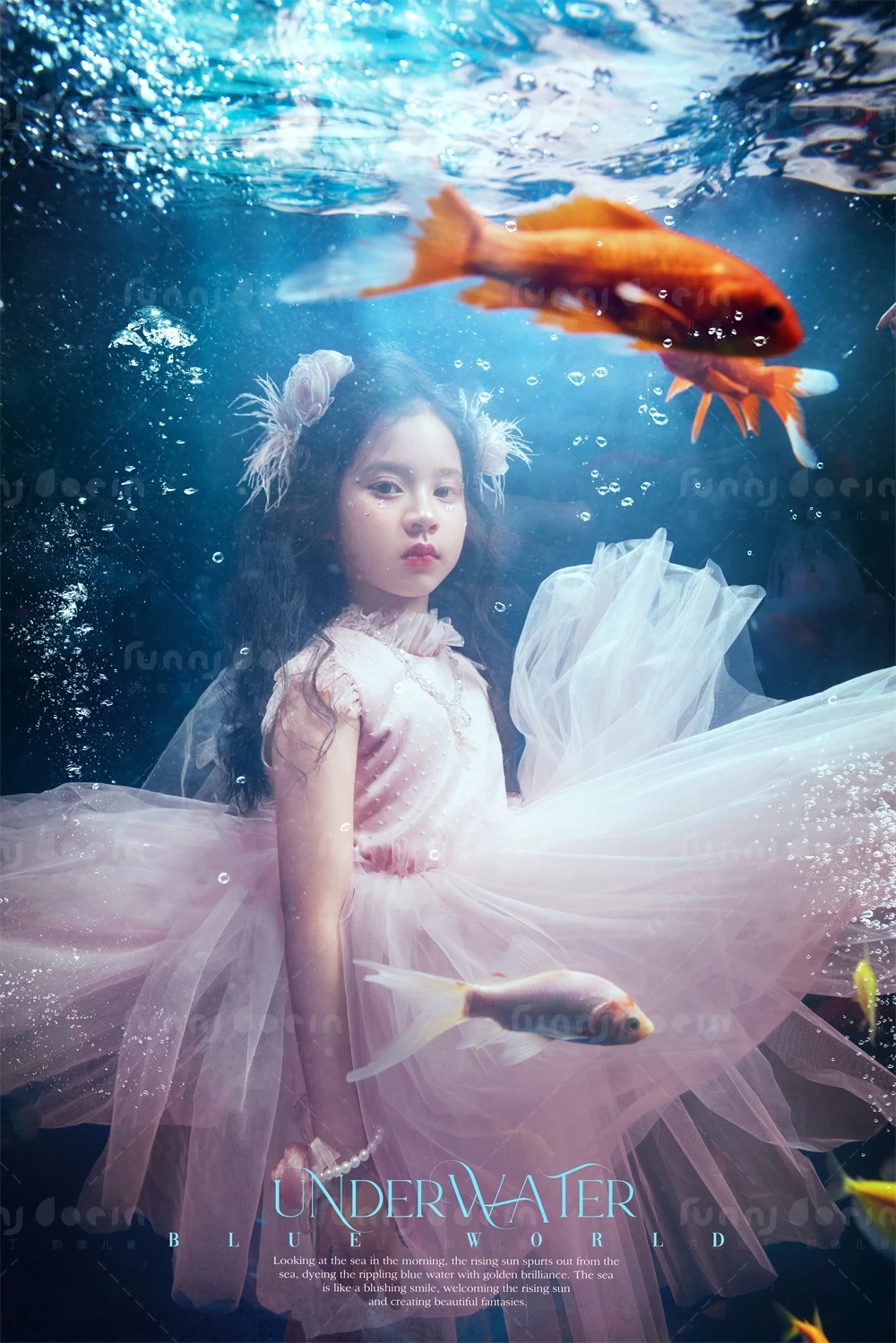 全家福 芳妮豆丁