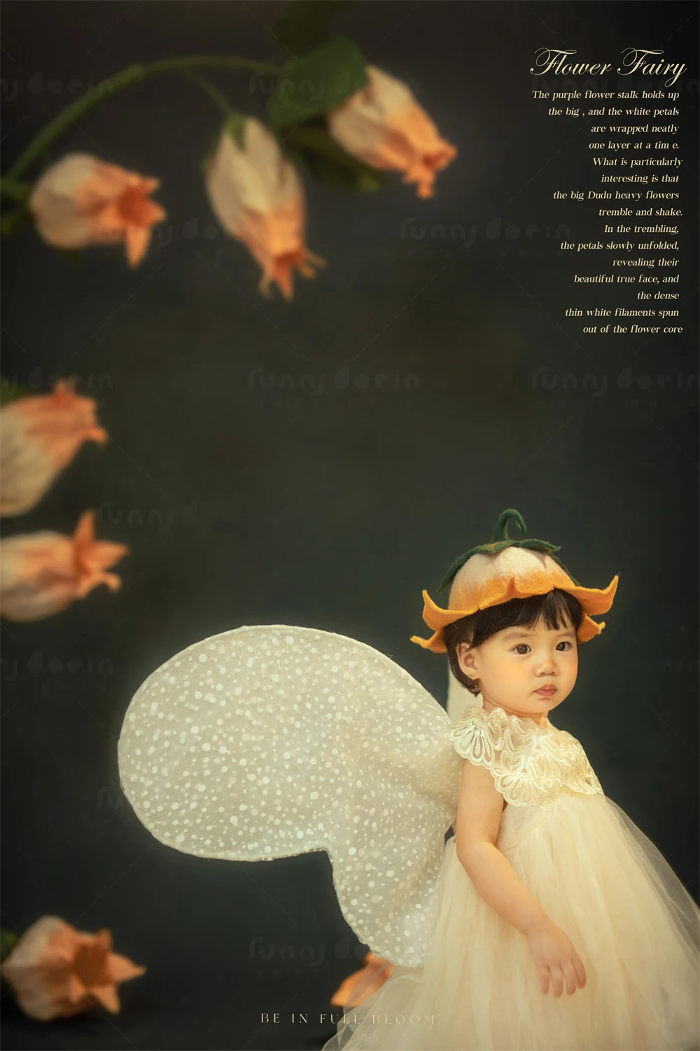 全家福 芳妮豆丁