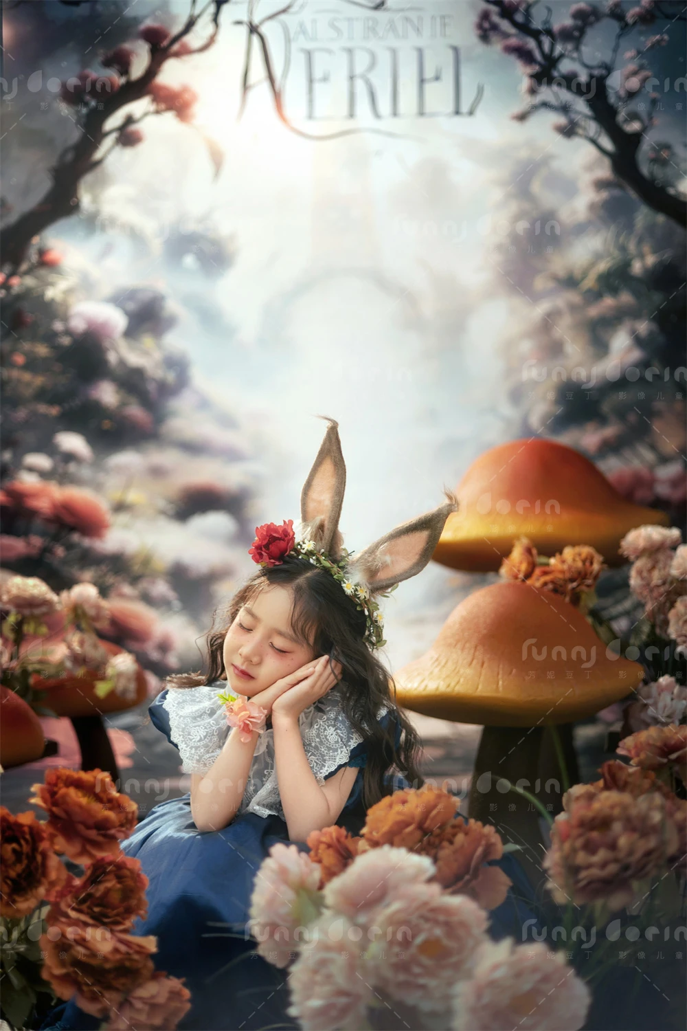 芳妮豆丁儿童摄影 爱丽丝仙境